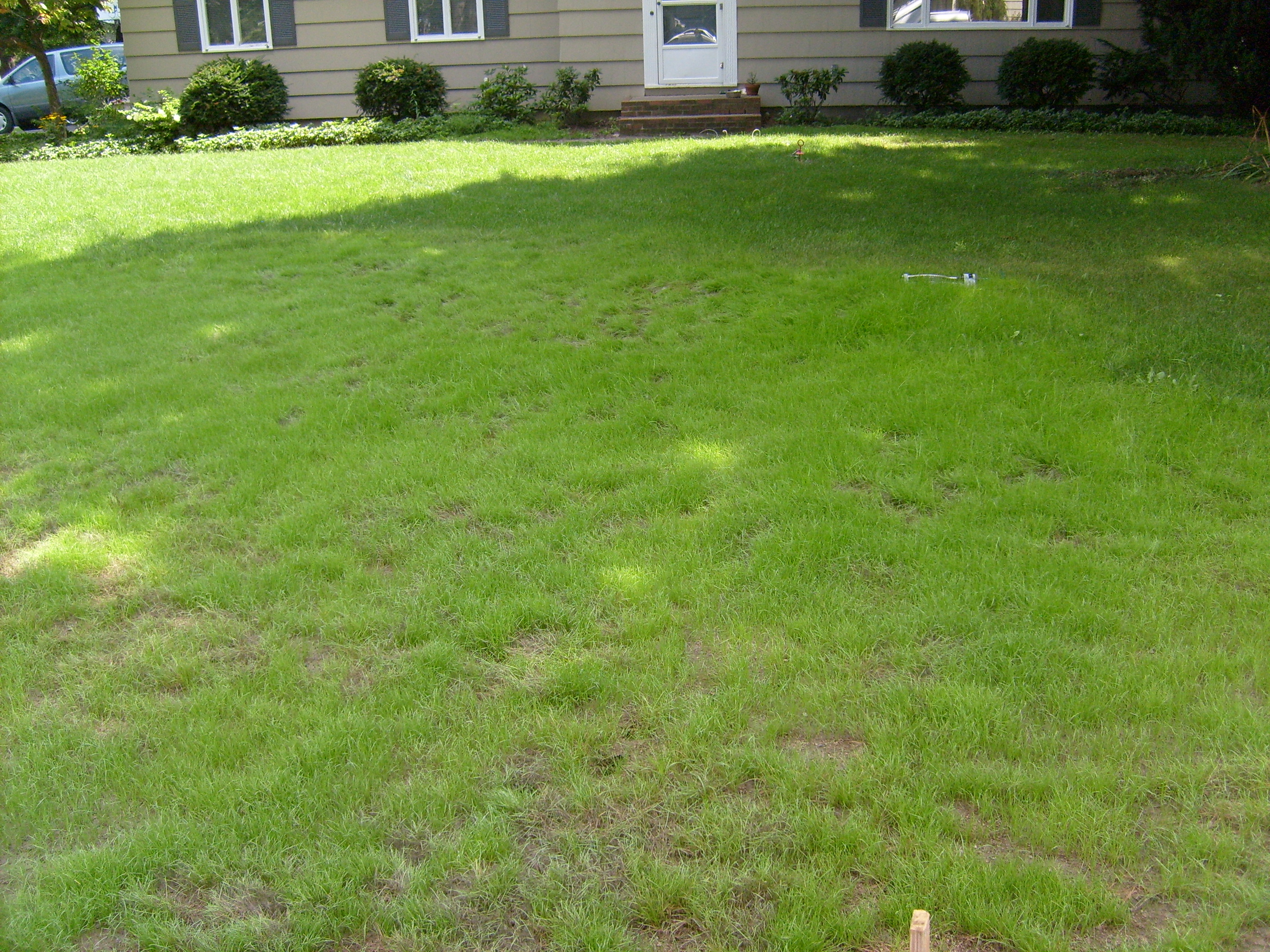 Lynnwood at Hollyvale1